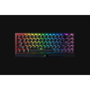 Tastatura Razer BlackWidow V3 Mini imagine