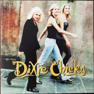 Dixie Chicks - Wide Open Spaces (LP) imagine