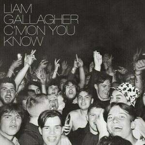 Liam Gallagher - C'mon You Know (LP) imagine