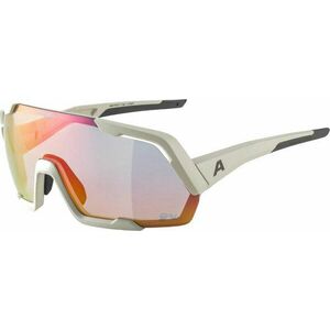 Alpina Rocket QV Cool/Grey Matt/Rainbow Ochelari ciclism imagine