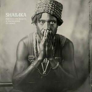 Shabaka - Perceive its Beauty, Acknowledge its Grace (LP) imagine