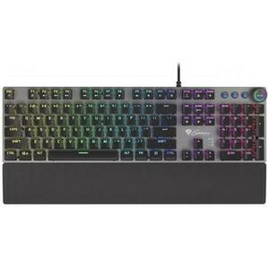 Tastatura Gaming Genesis Thor 380 RGB (Negru/Gri) imagine