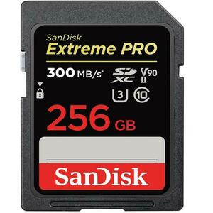 Card memorie SDHC, 256GB, clasa 10 imagine