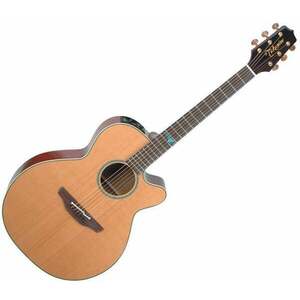 Takamine CTP-3 CoolTube imagine