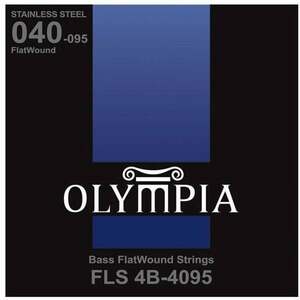 Olympia FLS4B-4095 Corzi pentru chitare bas imagine