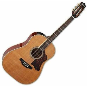 Takamine CRN-TS1 Natural Chitară electro-acustică Dreadnought imagine