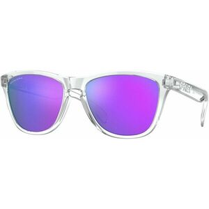 Oakley Frogskins Ochelari de stil de viață imagine