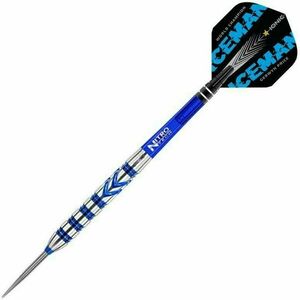 Red Dragon Gerwyn Price Tungsten 90% Steeltip 24 g Săgeți imagine