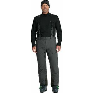 Spyder Mens Dare Ski Pants Polar S Pantaloni schi imagine