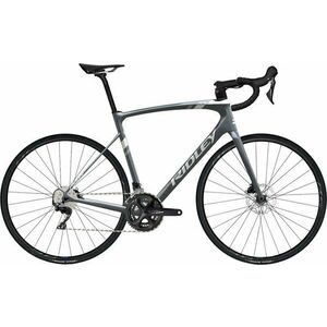 Ridley Fenix Disc Shimano 105 RD-R7000-11-Speed 2x11 Arctic Grey Metallic/White/Battleship Grey XL Shimano Bicicletă șosea imagine