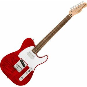 Fender Tele Body imagine