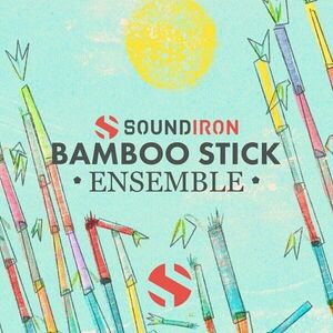 Soundiron Bamboo Stick Ensemble (Produs digital) imagine