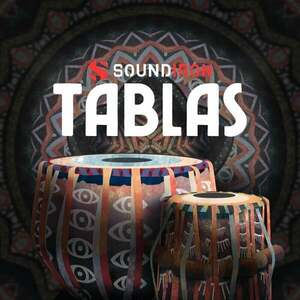 Soundiron Tablas (Produs digital) imagine