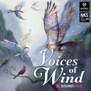 Soundiron Voices of Wind Collection (Produs digital) imagine