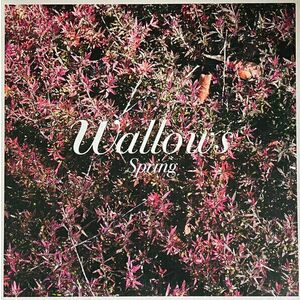 Wallows - Spring (Green & Pink Coloured) (12" Vinyl) imagine