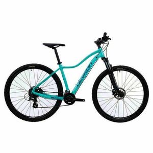 Bicicleta MTB Devron RW1.9, L, Roti 29inch, Frane Hidraulice pe disc, 16 viteze (Albastru) imagine