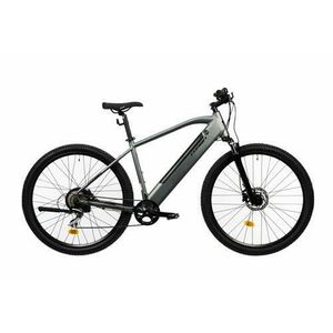 Bicicleta Electrica Corwin 28161, roti 28inch, cadru 520mm, motor 250 W, 9 viteze, acumulator 16.75 Ah (Gri) imagine