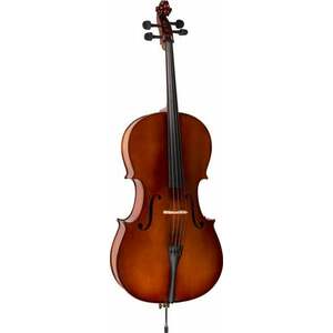 Valencia CE160G 4/4 Violoncel imagine