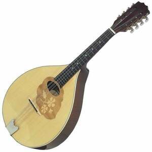 VGS 505490 Mandolină imagine