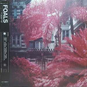 Foals - Everything Not Saved Will Be Lost Part 1 (LP) imagine