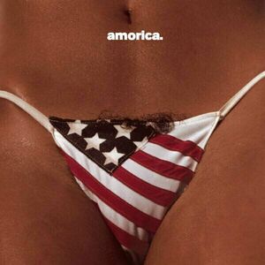 The Black Crowes - Amorica (Reissue) (2 LP) imagine