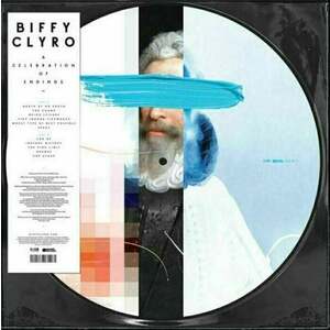 Biffy Clyro - A Celebration Of Endings (Picture Disc) (LP) imagine