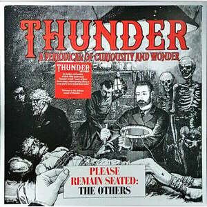 Thunder - RSD - Please Remain Seated - The Others (LP) imagine