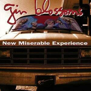 Gin Blossoms - New Miserable Experience (LP) imagine