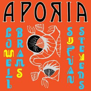 Sufjan Stevens & Lowell Brams - Aporia (Yellow Coloured Vinyl) (LP) imagine