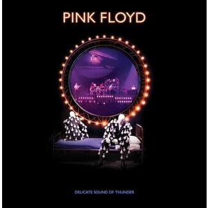 Pink Floyd - Delicate Sound Of Thunder (Remixed) (2 CD) imagine