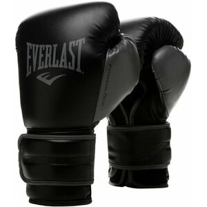 Everlast Powerlock 2R Gloves Black 10 oz Mănușă de box și MMA imagine