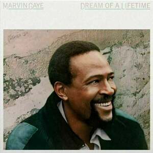 Marvin Gaye - Dream of a Lifetime (Trans Blue Vinyl) (180g) (LP) imagine