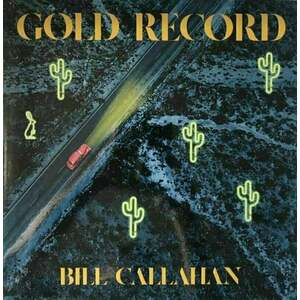 Bill Callahan - Gold Record (LP) imagine