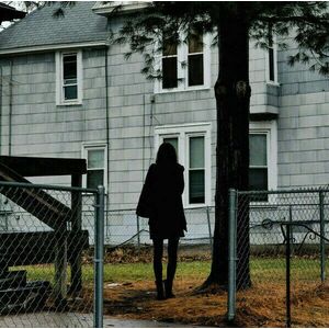 The Tallest Man On Earth - Dark Bird Is Home (LP) imagine