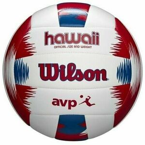 Wilson AVP Hawaii Volei pe plajă imagine