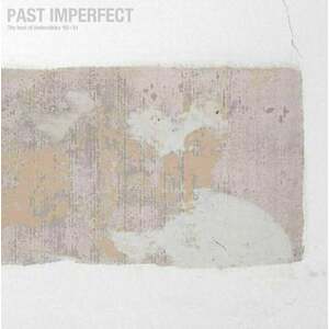 Tindersticks - Past Imperfect, The Best Of Thundersticks '92-'21 (2 LP) imagine