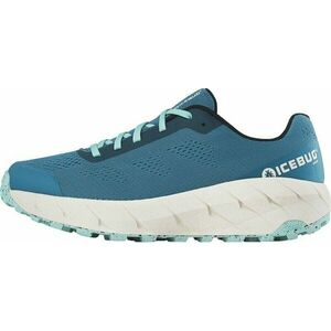 Icebug Arcus Mens RB9X Aqua 41, 5 Pantofi de alergare pentru trail imagine