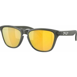 Oakley Frogskins XS 90063753 Matte Grey Smoke/Prizm 24K Polar Ochelari de stil de viață imagine