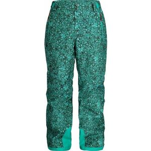 Spyder Mens Seventy Maple Haze/Teal Green M Pantaloni schi imagine