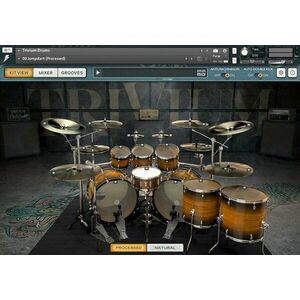 Bogren Digital Trivium Drums (Produs digital) imagine