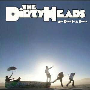 Dirty Heads - Any Port In A Storm (2 LP) imagine