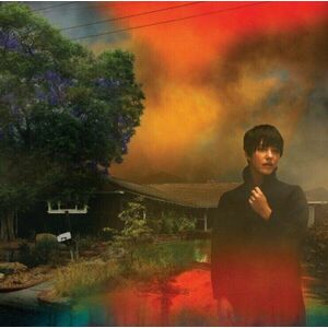 Sharon Van Etten - We've Been Going About This All Wrong (Marbled Smoke Coloured) (LP) imagine