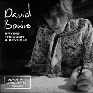 David Bowie - Spying Through A Keyhole (4 LP) imagine