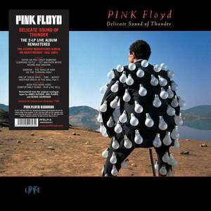 Pink Floyd - Delicate Sound Of Thunder (LP) imagine