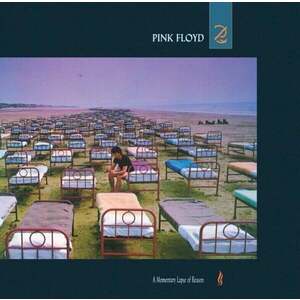 Pink Floyd - A Momentary Lapse Of Reason (2011 Remastered) (LP) imagine