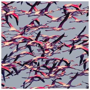 Deftones - Gore (LP) imagine