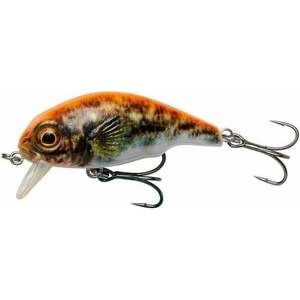 Savage Gear 3D Goby Crank SR UV Orange 4 cm 3 g Vobler imagine