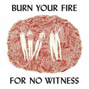 Angel Olsen - Burn Your Fire Not Your Witness (LP) imagine