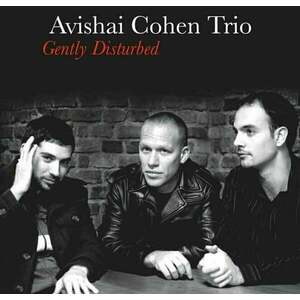 Avishai Cohen - Gently Disturbed (LP) imagine