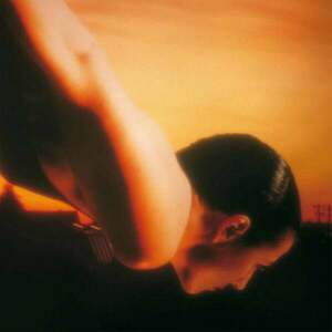 Porcupine Tree - On The Sunday Of Life (2 LP) imagine